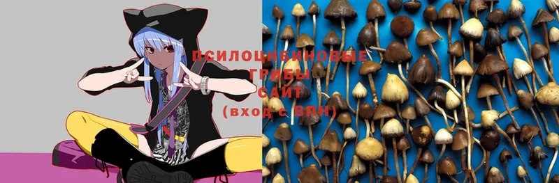 купить наркоту  mega   Галлюциногенные грибы MAGIC MUSHROOMS  Клин 